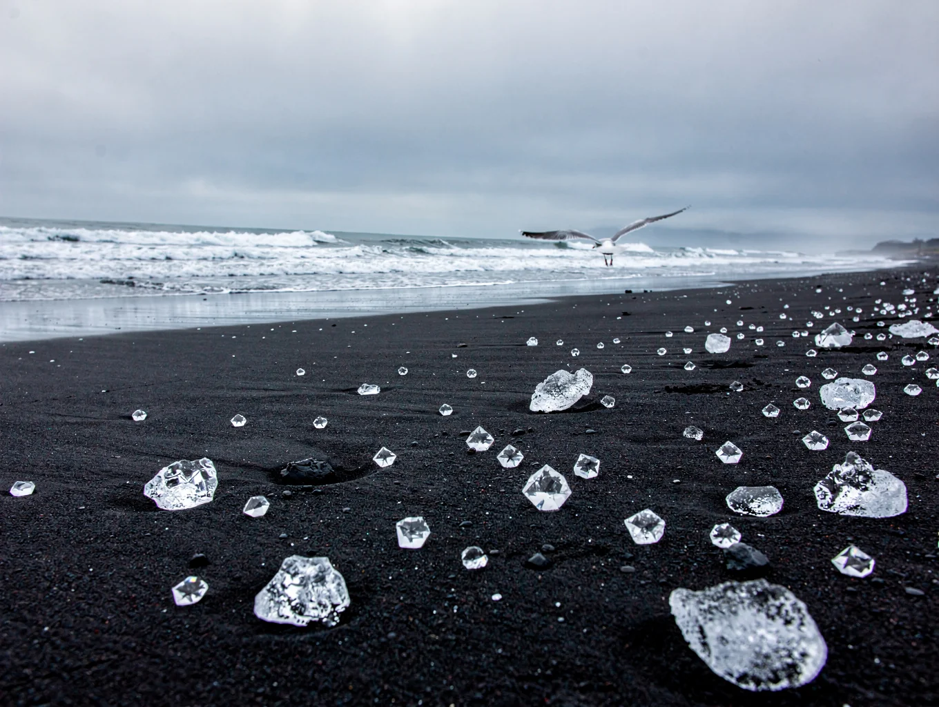 Blue glacial ice on black volcanic sand in Iceland